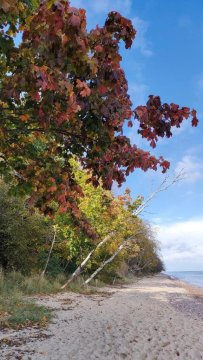 Bayapart - apartament mieszkanie przy plaży