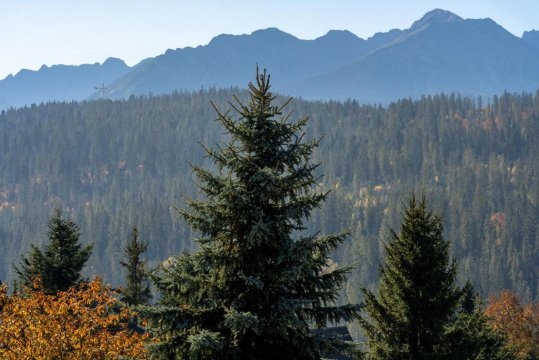 Domki WIDOKÓWKA -domki z balią na wyłączność