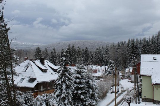 Apartament pod Świerkami