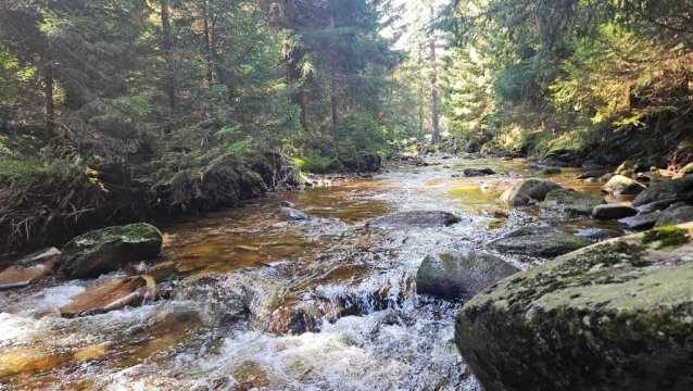 Apartament pod Świerkami