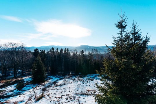 Widokówka Apartament 12