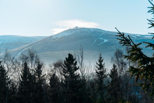 Widokówka Apartament 12