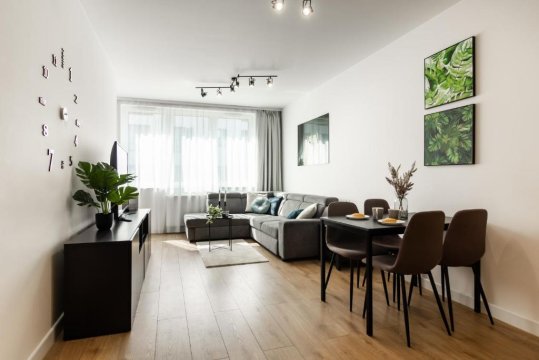 Apartament Near Sky Tower Free Parking for 2 cars