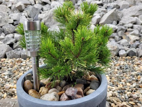 Apartament Wiślańskie Skije