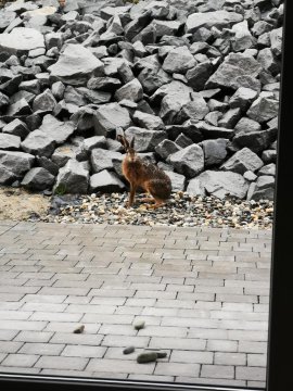 Apartament Wiślańskie Skije