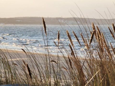 Seaside View apartment