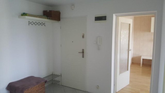 Apartament Gryfitów