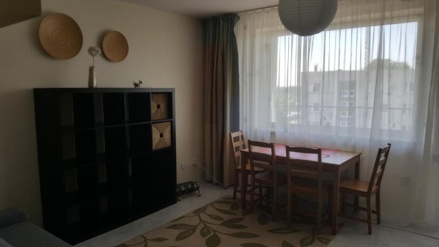 Apartament Gryfitów