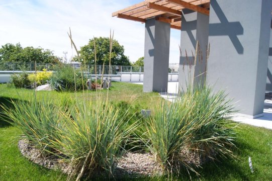 Apartament Port d216 Nadmorskie Tarasy Kołobrzeg