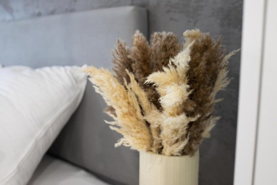 PLATANY51-serce Kołobrzegu