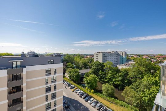 PLATANY51-serce Kołobrzegu