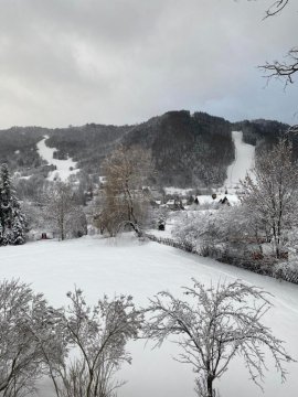 Apartament Dzika Natura