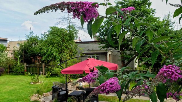 Gdynia Orłowo Żmudzka