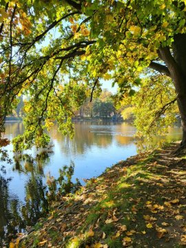 Gold Apartament przy Księżym Młynie - Garaż - Dostęp na Kod - FV