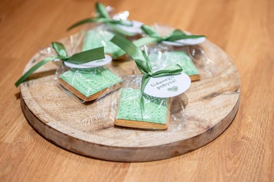 Apartament Śnieżne Kotły Ostoja Parku Narodowego