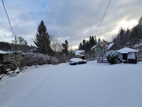 Apartament Leśna z ogrodem