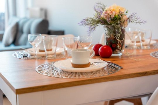 Apartament Świerkowy 12