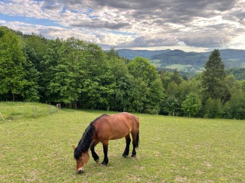 Domki Widokowe Wisła