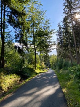 Apartament dwupoziomowy Szyszka