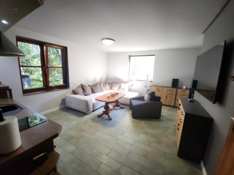 Wilcza Poręba Apartament