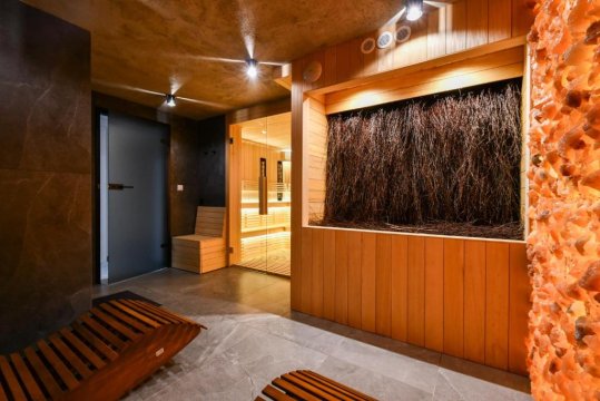 Salamandra SPA Jacuzzi, Sauny, Tężnia, panorama Tatr