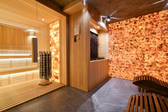 Salamandra SPA Jacuzzi, Sauny, Tężnia, panorama Tatr