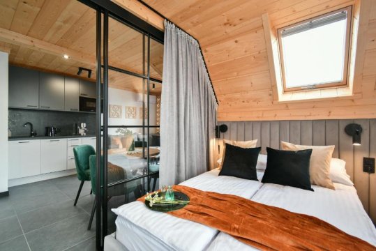 Salamandra SPA Jacuzzi, Sauny, Tężnia, panorama Tatr