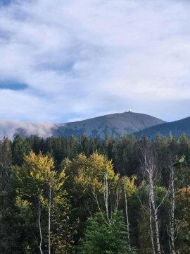 Rezydencja Maximus 2