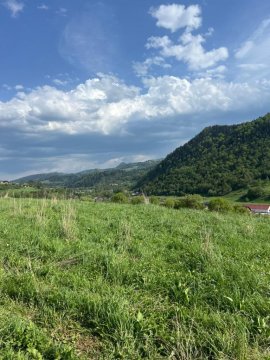 Carlina House Szczawnica