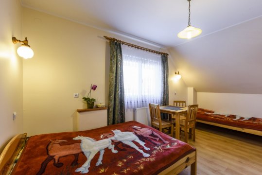 Pokoje w Czorsztynie nad jeziorem Czorsztyńskim zimą i latem .Zapraszamy 