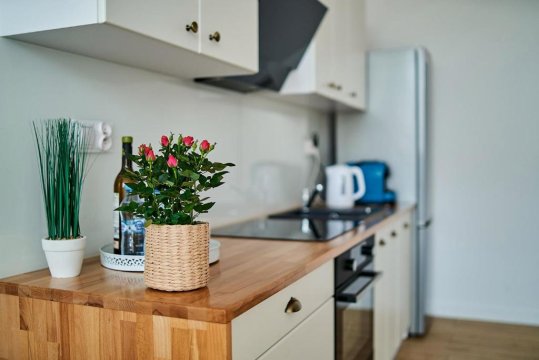 Apartamenty Muzyczna 14