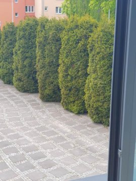 Mały domek kawalerka