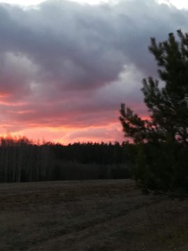 Glamping Drzwi Do Lasu