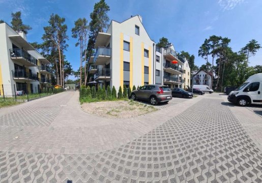 Apartament w sosnowym lesie