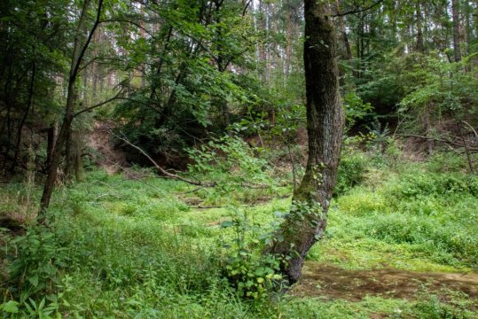 Ośrodek wypoczynkowy "Źródła Dobrej"