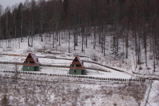 Domki Beskid