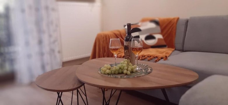 Apartament Willa Port "Kaczorek"