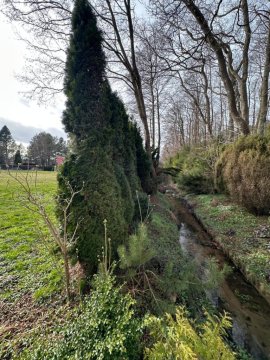 Posejdon Wydmowa 16-1