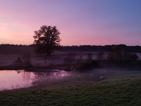 "Dolina szczęścia" Kartkowo