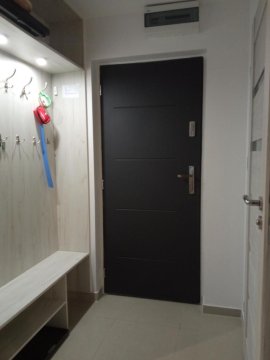 Borówka w Blue Mare