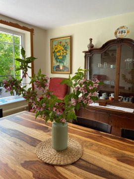 Holiday Villa Żuromino