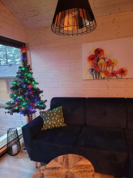 Słoneczny Domek Borsk nr 2 i 15 - nad samym jeziorem w pierwszej linii