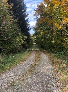Chabrowo Retreat - dom 220m2 nad jeziorem Klimkówka, Beskid Niski