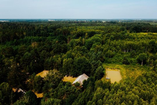 Domek w lesie, nocleg na Lubelszczyźnie