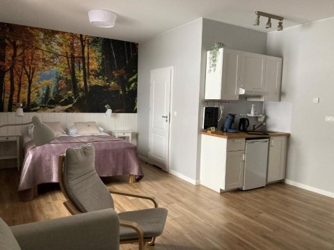 Apartamenty Black Lion