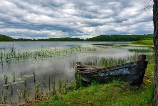Apartament Mikołajki SWAN