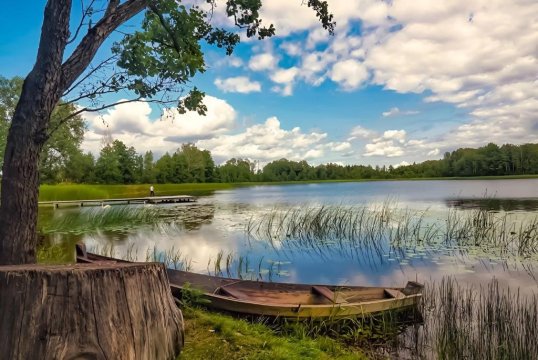 Apartament Mikołajki SWAN