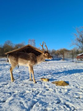 Agroturystyka Nad Stawem