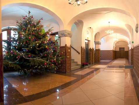 Apartament's Józefina