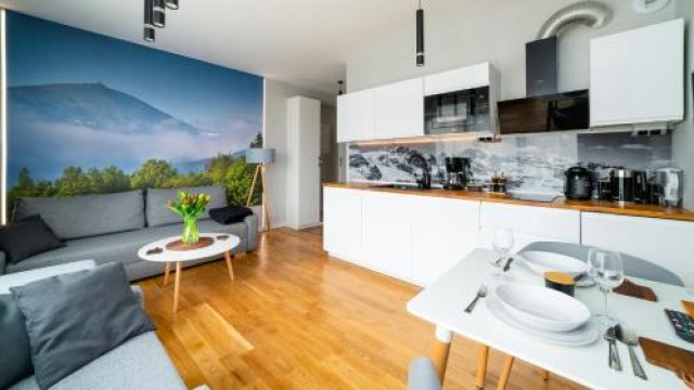 Apartamenty Sun & Snow Karpatia